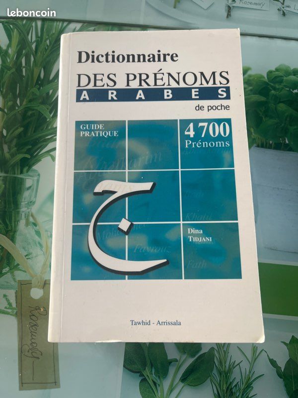 Dictionnaire des prénoms arabes (image 1)