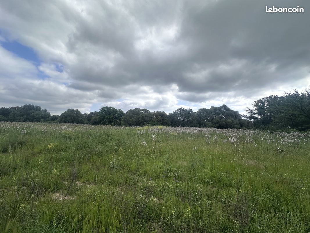Terrain 2388 m² · à Prunelli-Di-Fiumorbo · 2 388 m² · 248 000 €