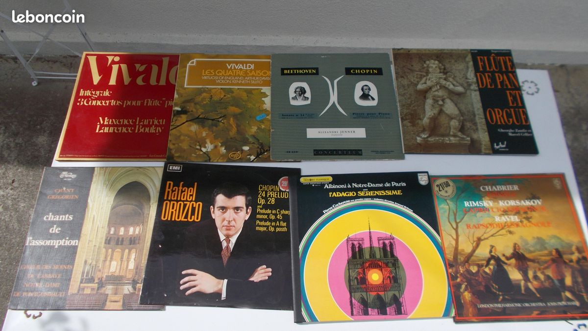 Disques 33 t vinyles classiques (image 1)