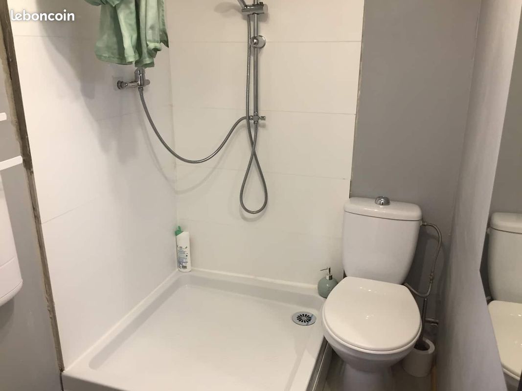 LES TOITS ARVERNE Logement 5 étoiles Petit Déjeuner, Parking , Wifi, Google Home Boîte à clés (image 7)