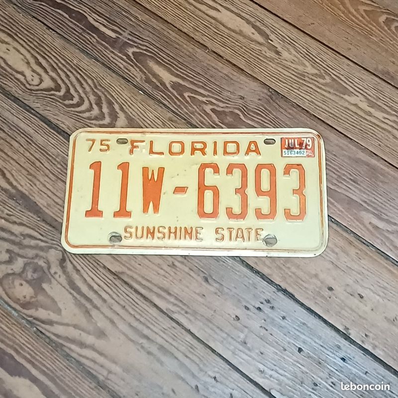 Plaque Immatriculation USA - 30x15