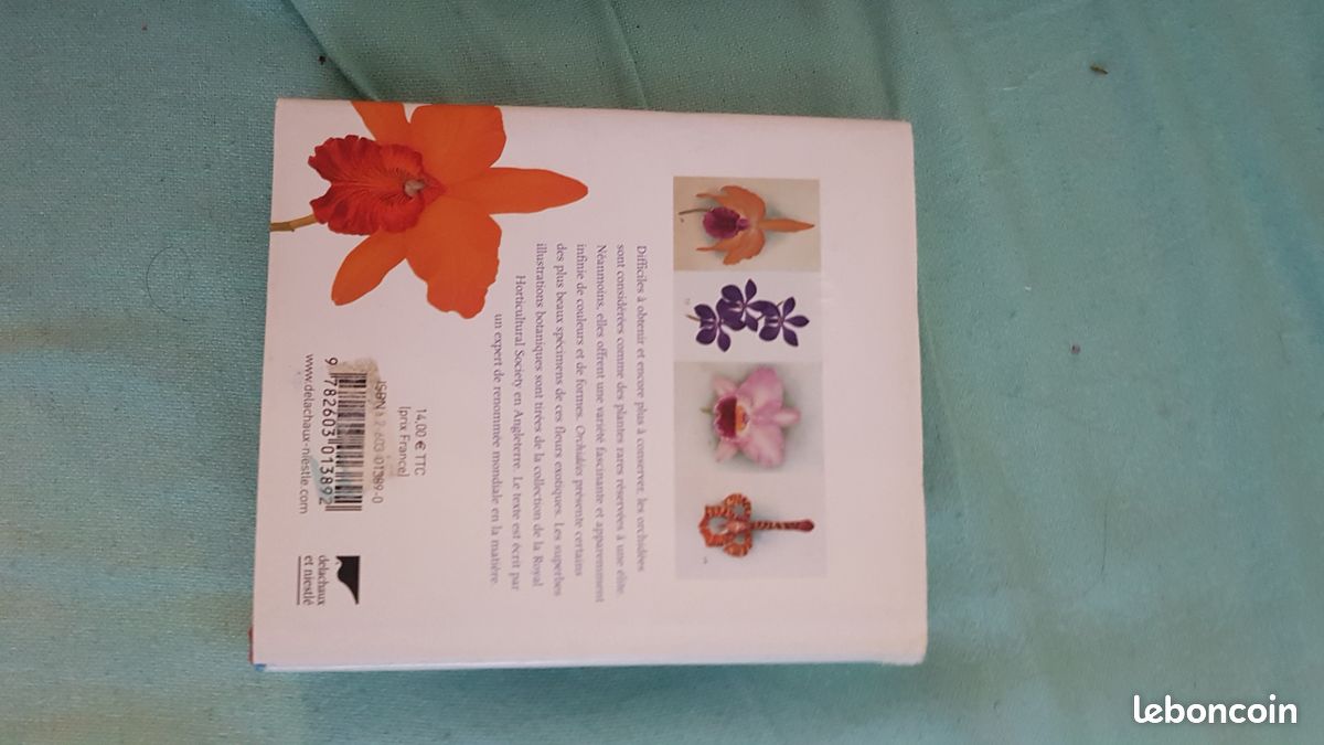 LIVRE ORCHIDEES : de l'horticulture considérée comme un des beaux-arts (image 4)
