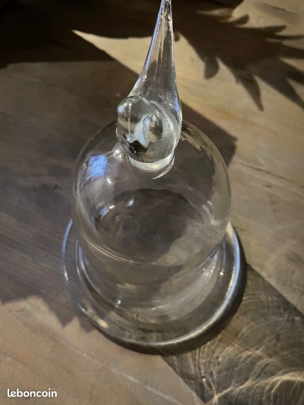 Cloche en verre (image 3)