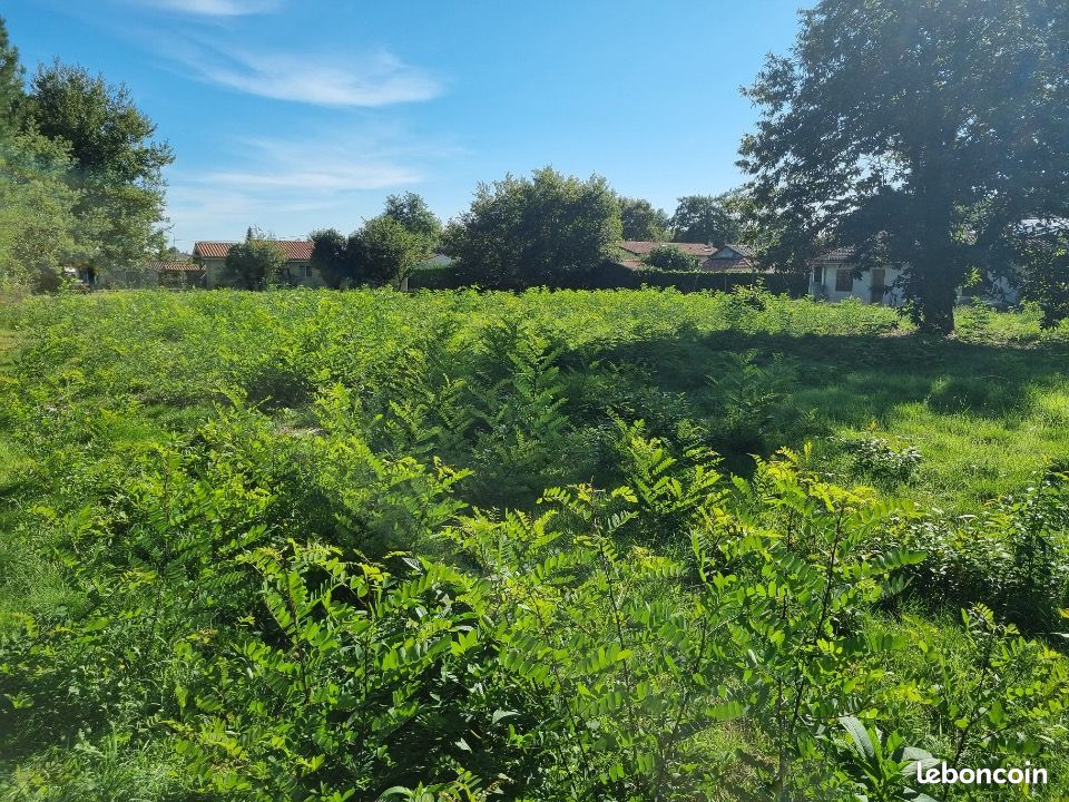 Terrain 1 020 m² Saint Aubin De Medoc · à Saint-Aubin-de-Médoc · 294 000 €