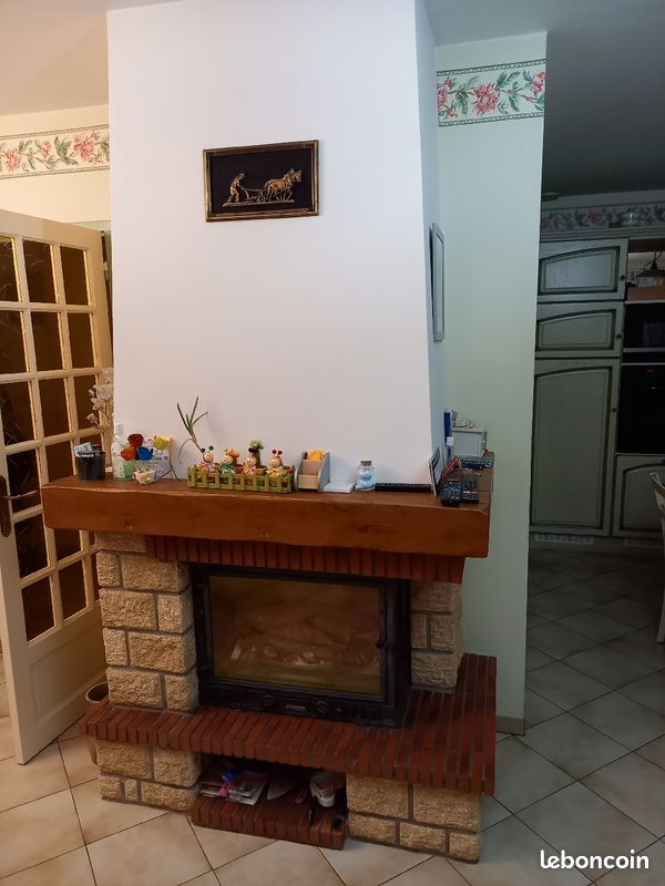 Insert à bois bon état (image 3)