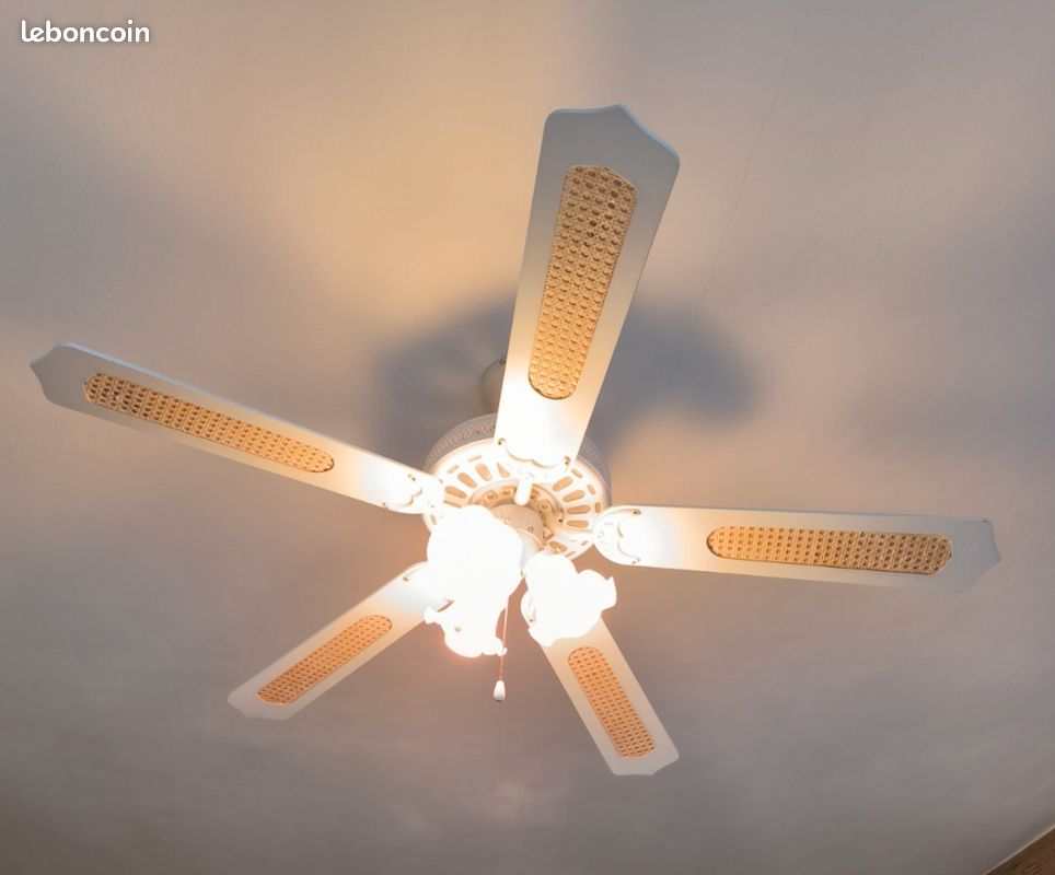 3 Tulipes pour lustre ventilateur de plafond (image 3)