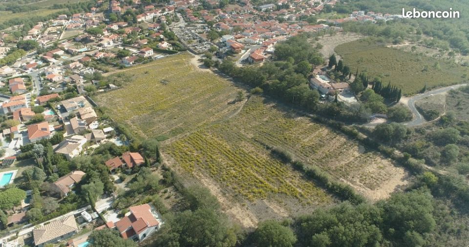 Terrain 252 m² · à Banyuls-Dels-Aspres · 81 000 €