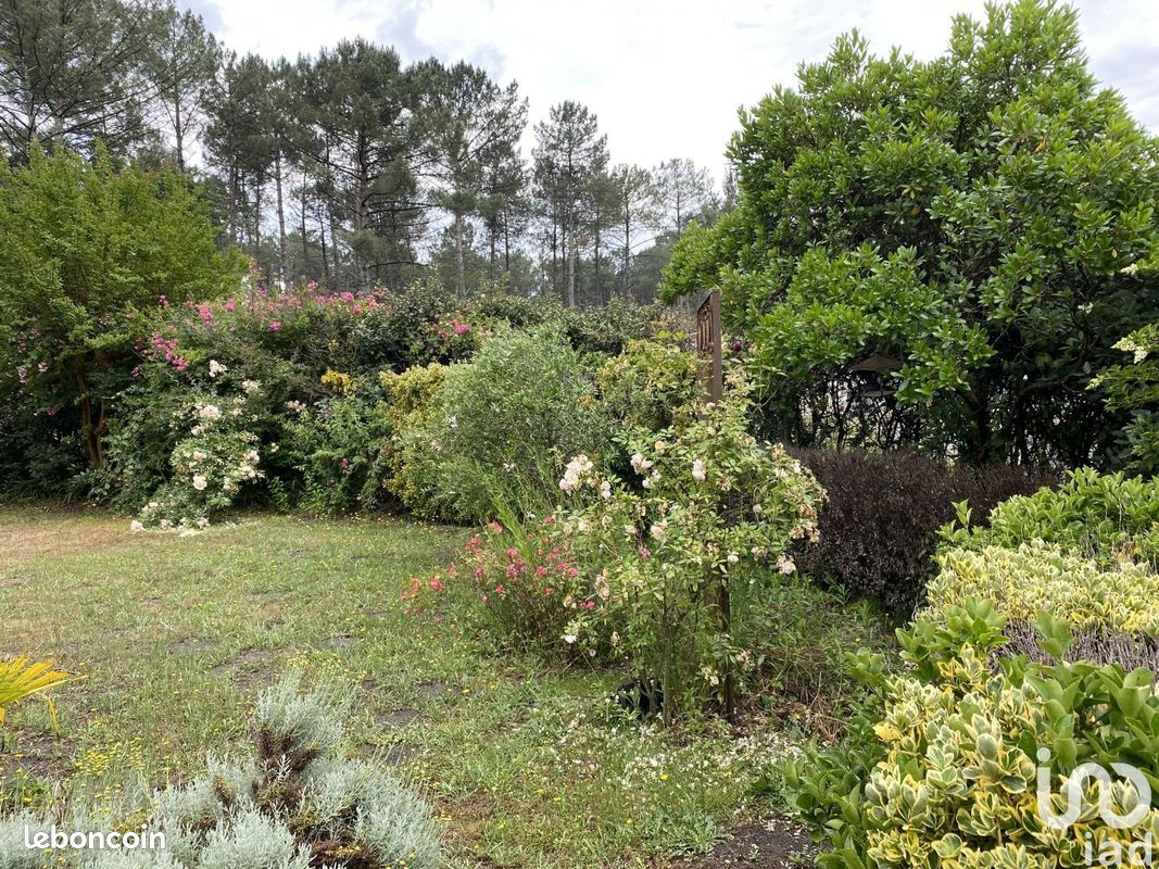 Maison 7 pièces 140 m² - Soustons 40140 (image principale 7)