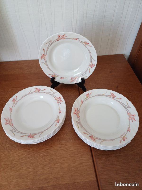 Lot De 12 Assiettes Creuses Arcopal Vintage - Motif Roses Et Feuilles D'Automne