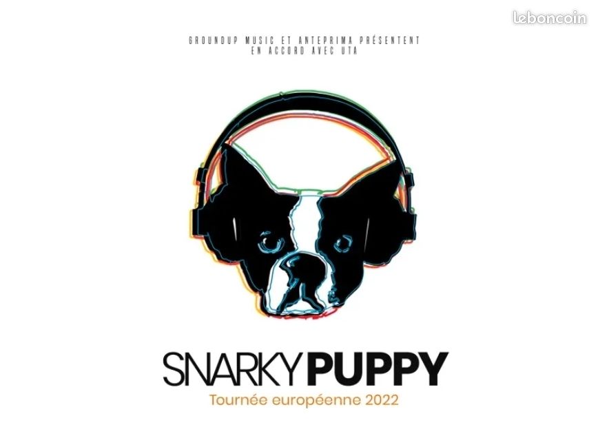 Snarky puppy (image 1)