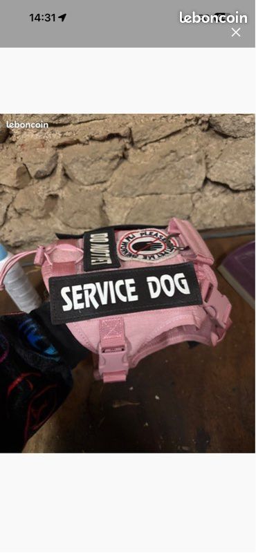 Harnais chien d’assistance ou soutient émotionnel (image 1)