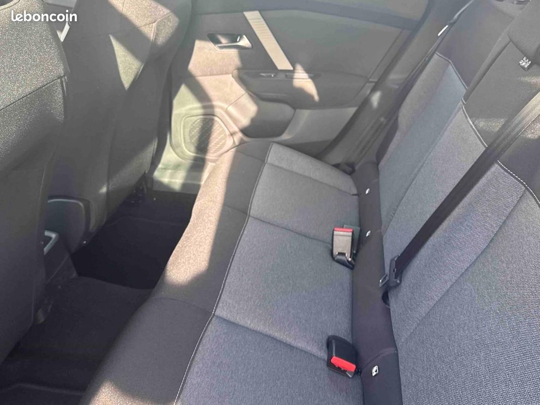 Citroen C4 PureTech 100 Live Pack Business (image 21)
