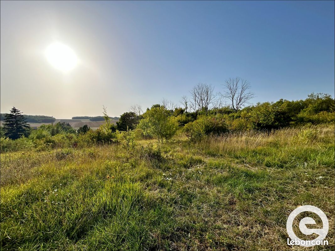 Terrain 4390 m² Bagneaux (image 7)