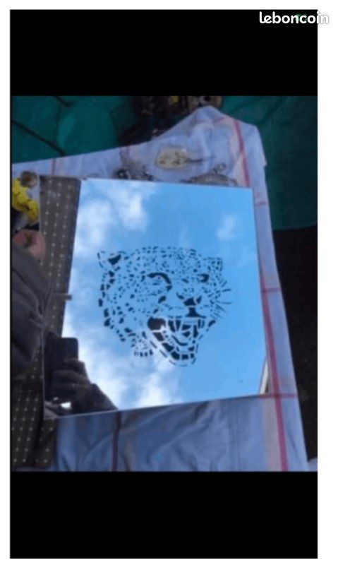 Miroir léopard 30x30cm (image 1)