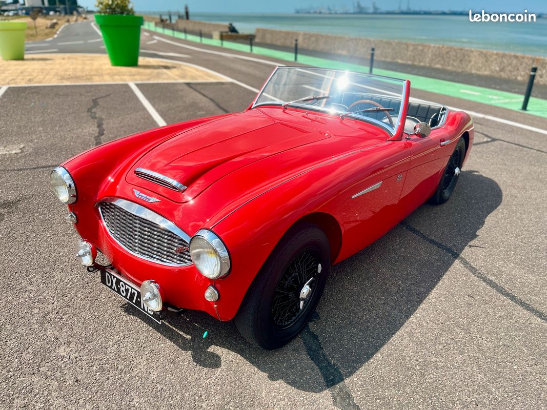 Austin Healey BN4 100/6 - 1958 (image 3)