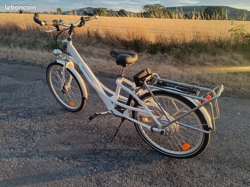 Vélo éclectique (image 2)