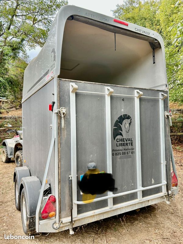 Van 2 places Cheval Liberté Gold XLine – 2019 – Excellent état (image 2)
