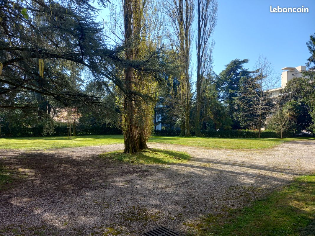Appartement 1 pièce 16 m² · à Pau · 16 m² · 500 €/mois