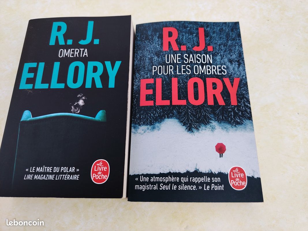 4 romans policiers de RJ ELLORY (image 2)