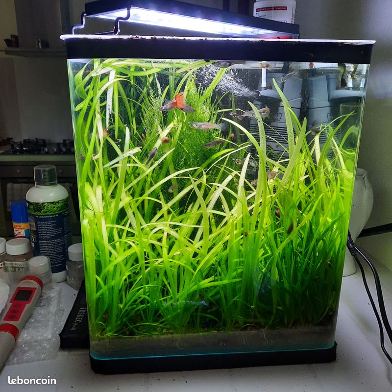 Aquarium Eheim aquastyle 35l (image 1)