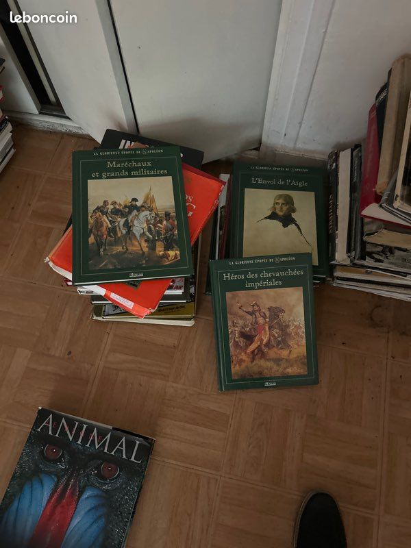 Livres de guerres et cinéma (image 13)