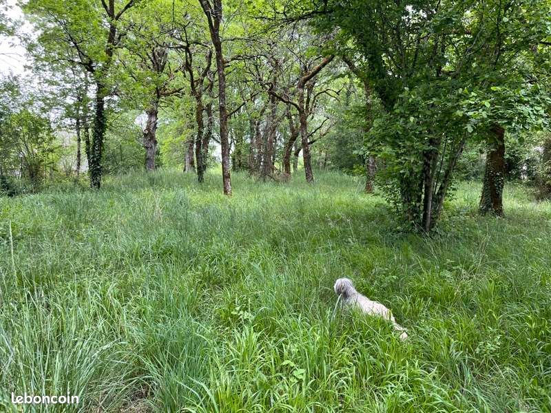 Terrain 1940 m² · à Chauffour-sur-Vell · 30 000 €