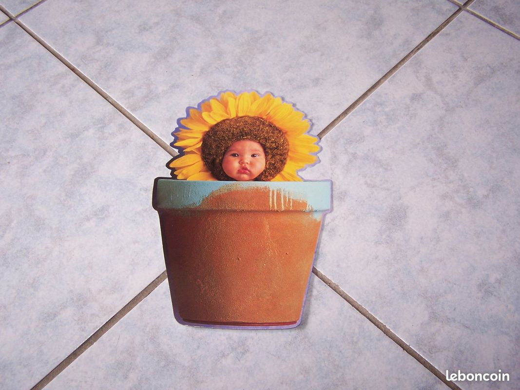 Carte Postale Découpée Anne Geddes Fleur tournesol bébé en pot (image 1)