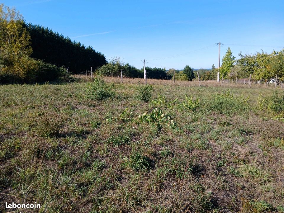 Terrain 1505 m² · à Tocane-Saint-Apre · 24 900 €
