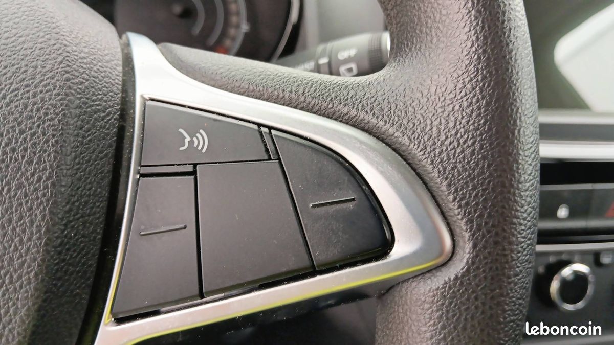 Dacia spring expression (image 23)