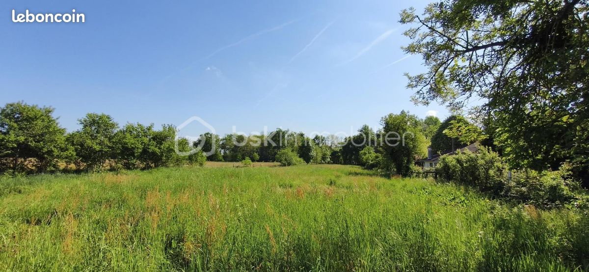 Terrain 3 249 m² Albias · 69 000 €