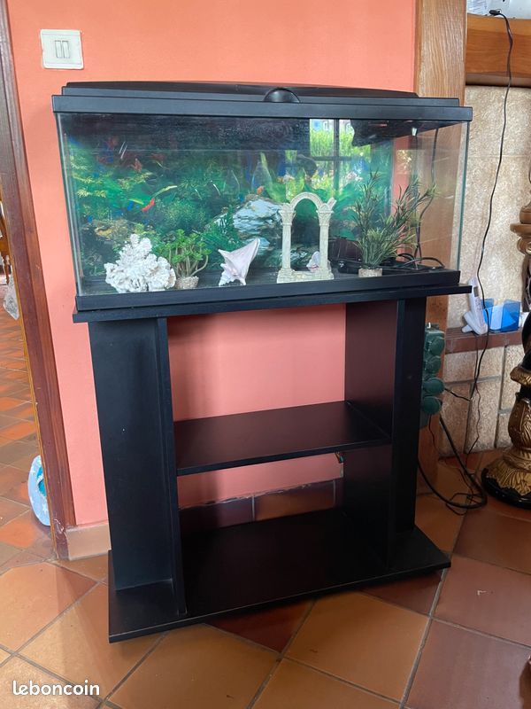 Aquarium (image 1)