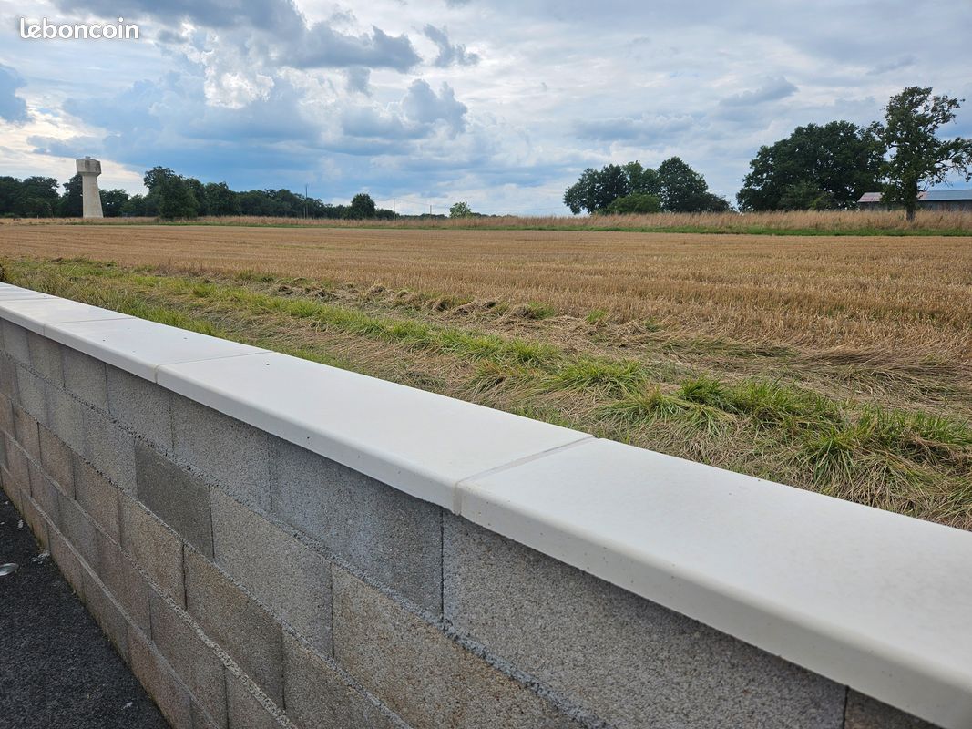Chaperon de mur plat Pierre Lisse - ton crème - 99x30x4 cm (image 2)
