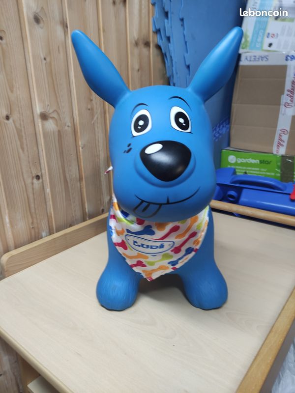 Chien sauteur Ludi (image 1)
