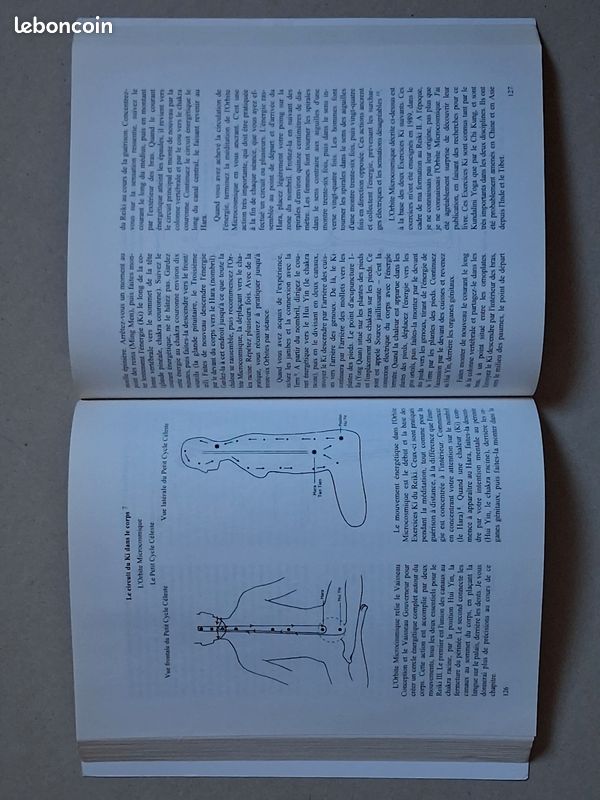 Reiki essentiel guide complet d’un art ancien de guérison - Diane Stein (image 4)