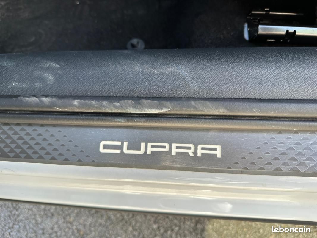 Cupra Formentor 2.0 TDI 150 ch DSG7 V (image 10)