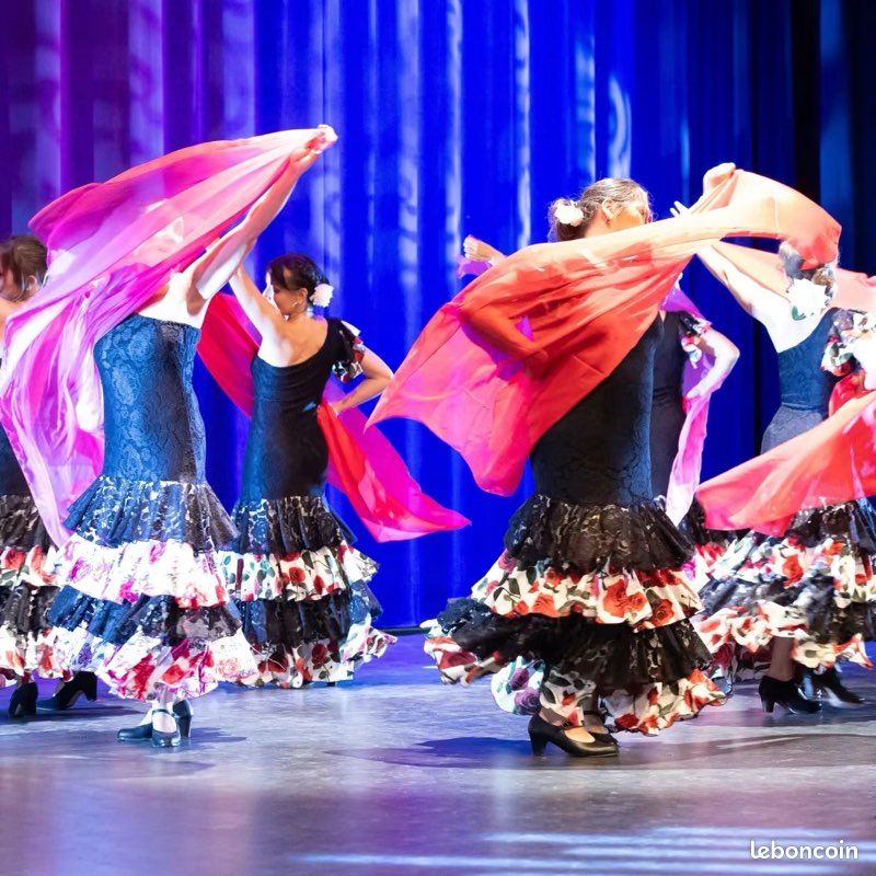 Robe de flamenco fleurie (image 2)
