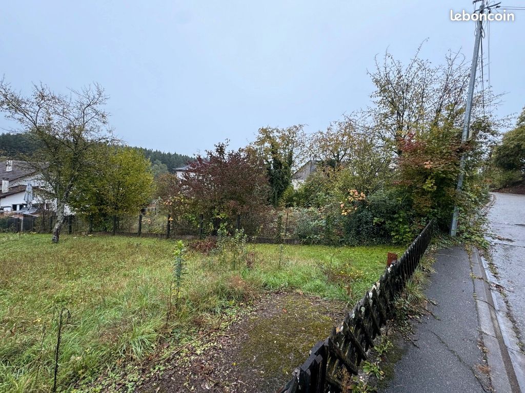 Terrain 441 m² Buschwiller · 136 000 €