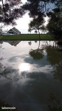 Grande maison avec piscine sans vis à vis, jardin clôturé, à 5 km du bourg de Martigné-ferchaud