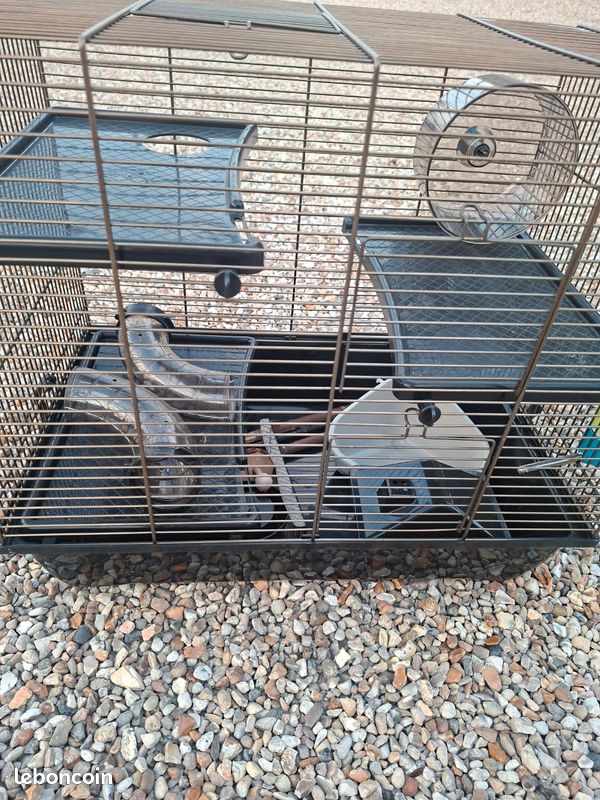 Cage hamster (image 1)