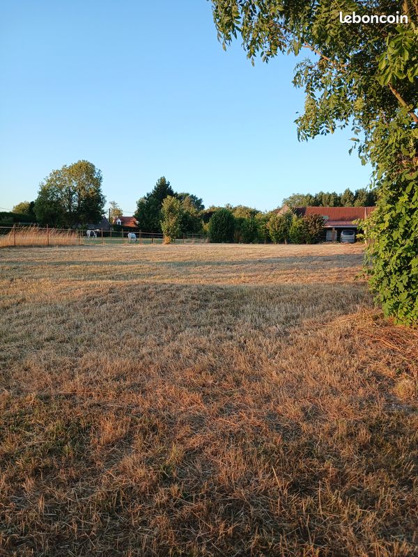 Pature · à Vaire-sous-Corbie · 200 €