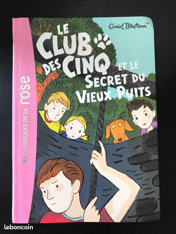 Le club des cinq - et le secret du vieux puits (image 1)