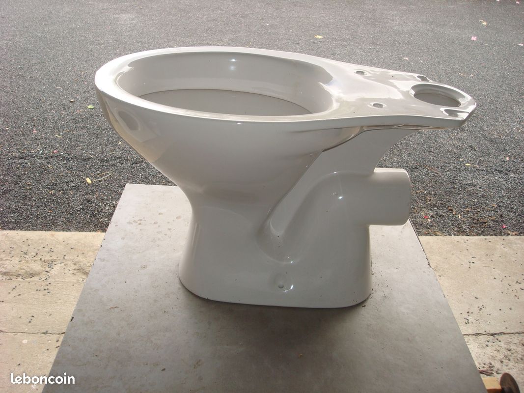 Cuvette de toillette (image 1)