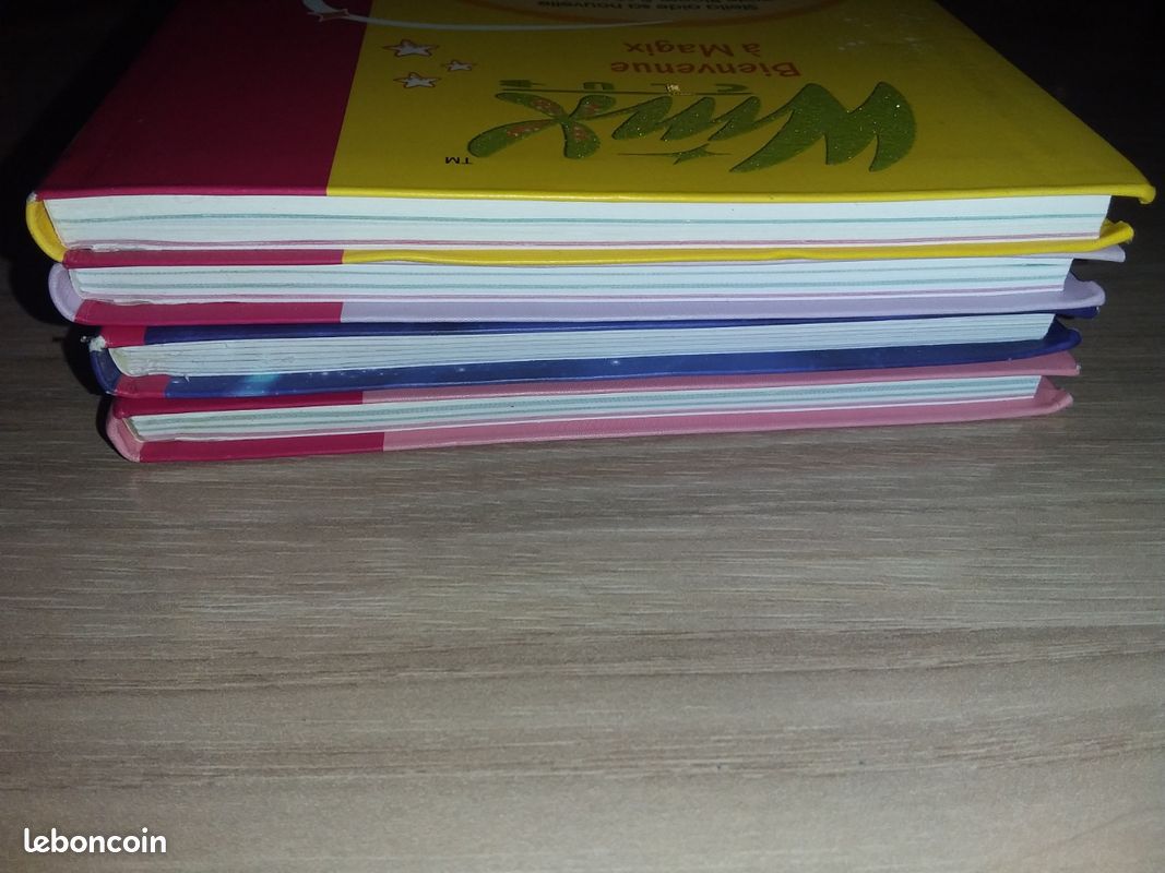 Livres le Club des Winx (image 4)
