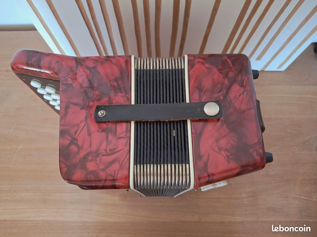 Accordeon (image 7)