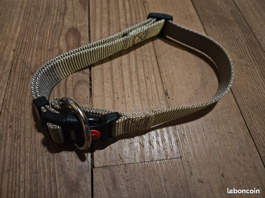 Collier chien taille L Neuf (image 1)