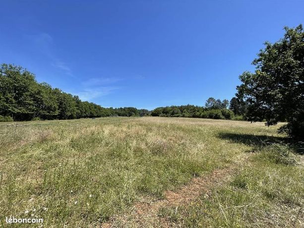 Terrain 11 000 m² Paunat