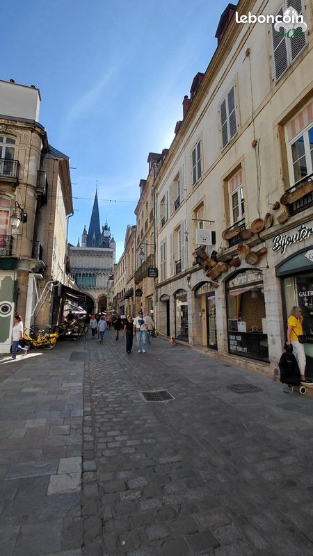 Appartement 2 pièces 47 m² · à Dijon · 47 m² · 600 €/mois