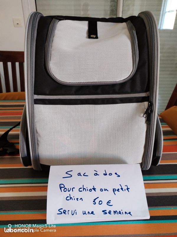 Pour chiot et petits chiens (image 1)