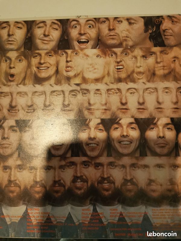 Vinyle wings (image 2)