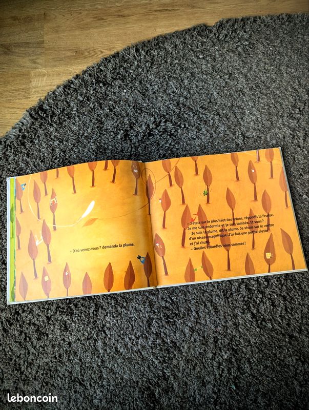 Livre Plume et feuille de Olivier De Vleeschouwer et Ingrid Monchy casterman (image 9)